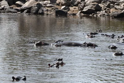 DSC_3481 (Large).JPG